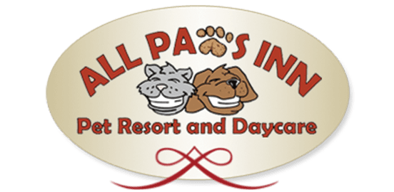 Dog Boarding Grooming in Belleville IL All Paws Inn Pet Resort and Daycare